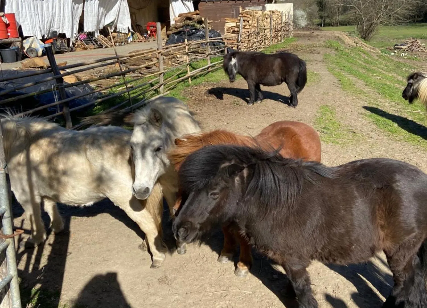 ホテル La Bastide D'Albignac Le Dourn 0*,  フランス