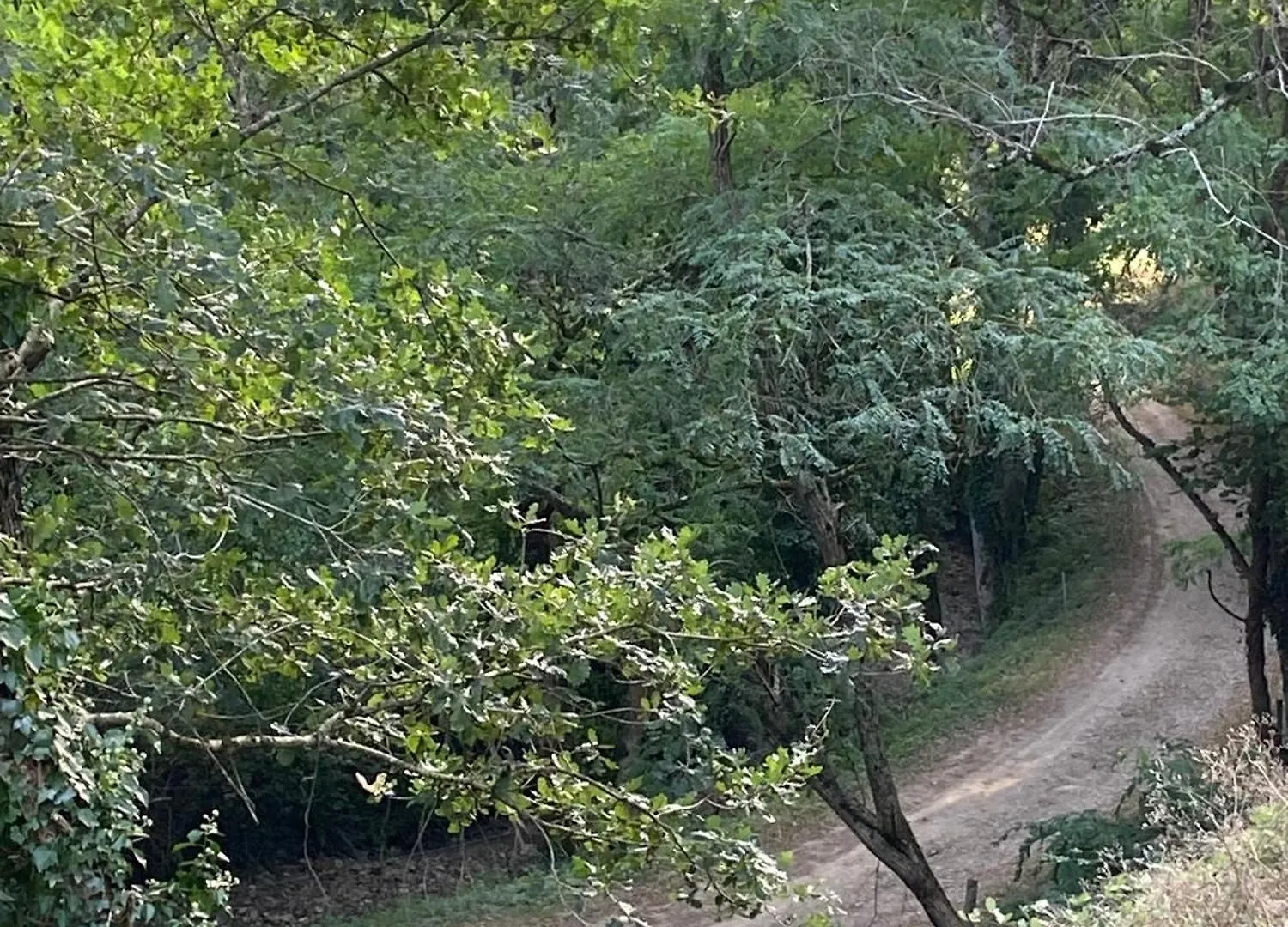 ゲストハウス ホテル La Bastide D'Albignac Le Dourn