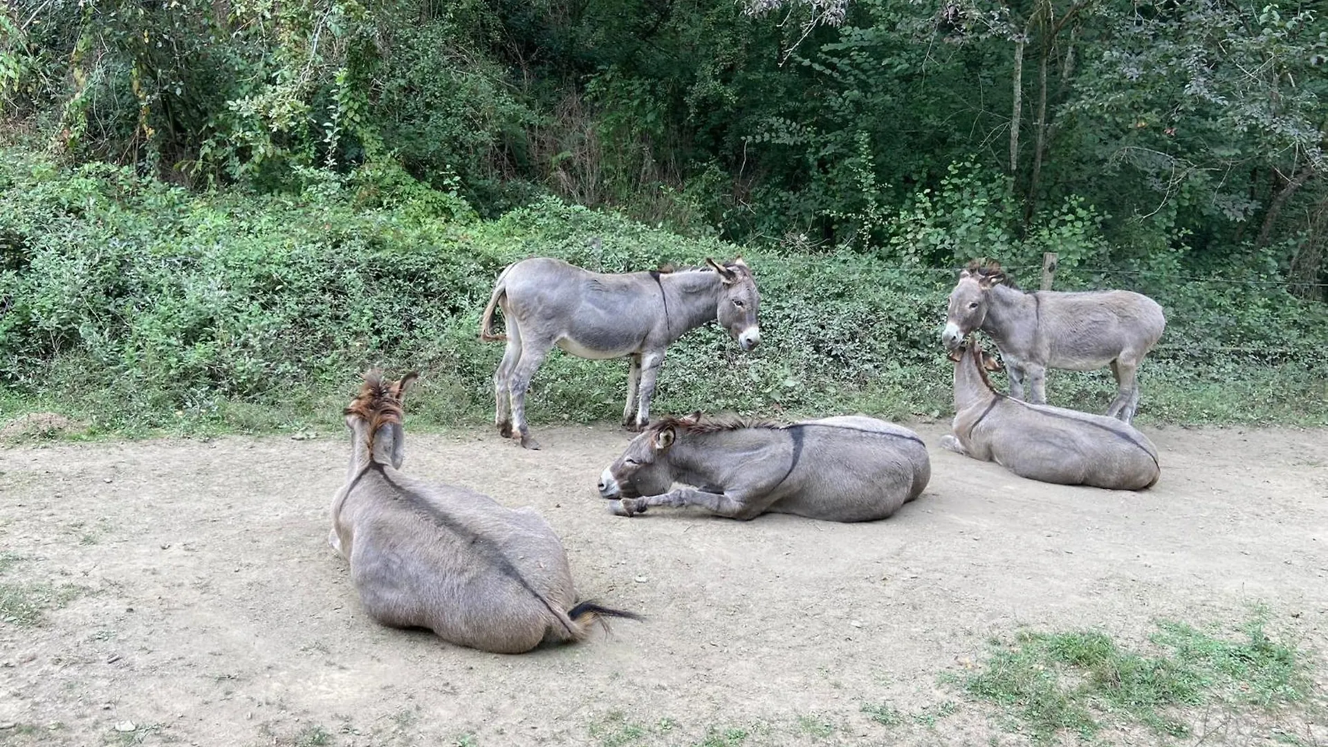 ホテル La Bastide D'Albignac Le Dourn ゲストハウス