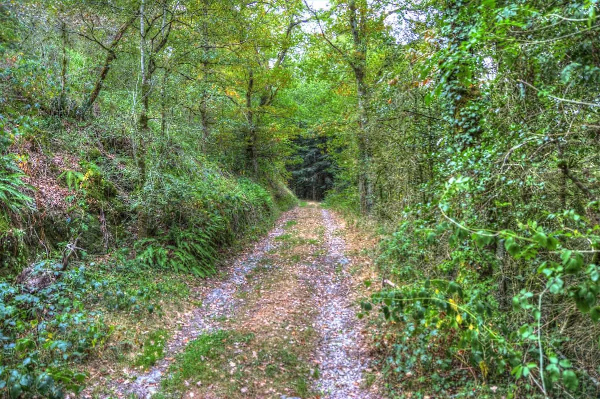ホテル La Bastide D'Albignac Le Dourn ゲストハウス