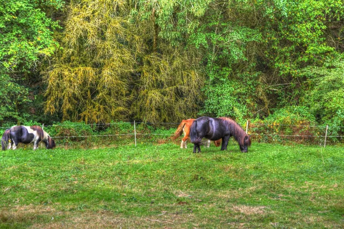 ゲストハウス ホテル La Bastide D'Albignac Le Dourn フランス