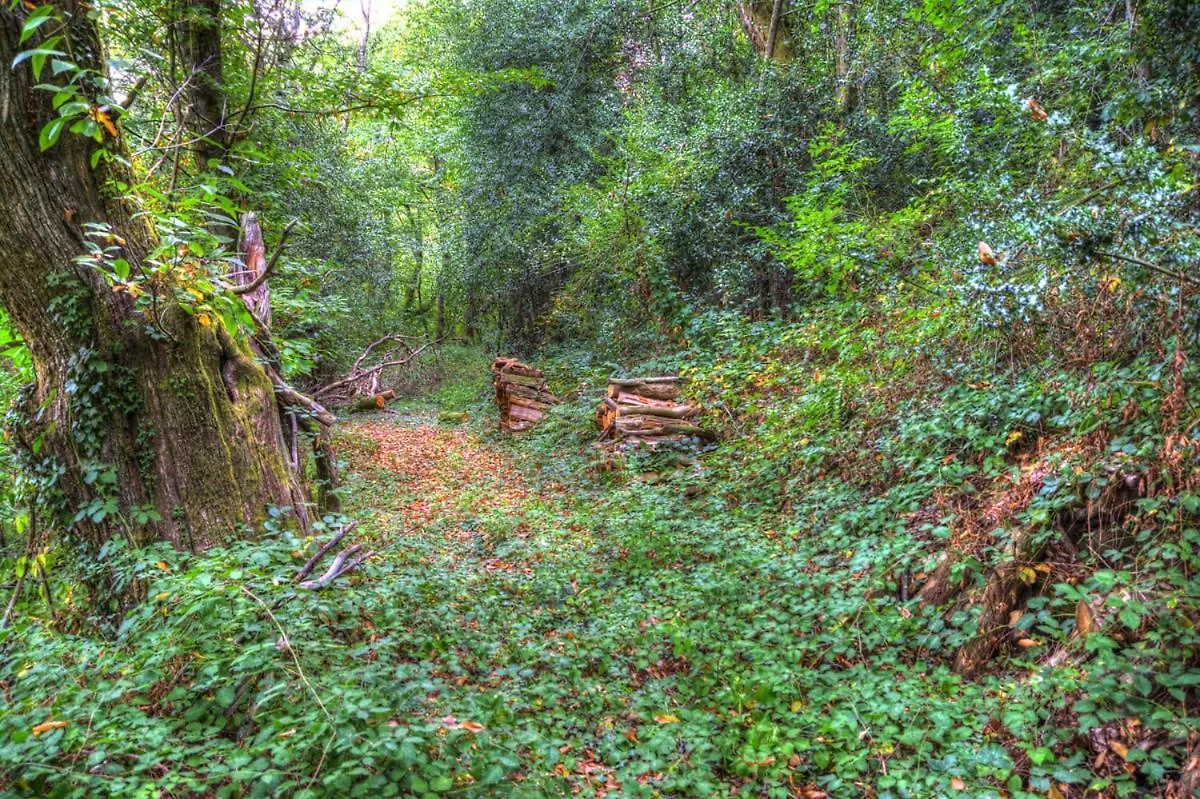 ゲストハウス ホテル La Bastide D'Albignac Le Dourn